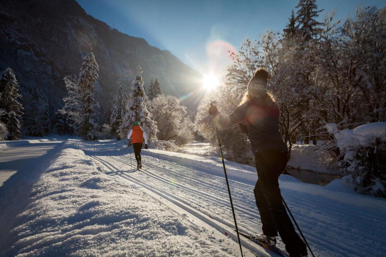Chalet Happy Family, Secluded Location, 15 Min To Salzburg And Just Short To T Lakes Sound Of Music, Bbq&Bikes&Sunbeds For Free, Up To 14P Golling an der Salzach Exteriör bild